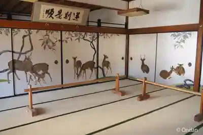 妙蓮寺(京都府)