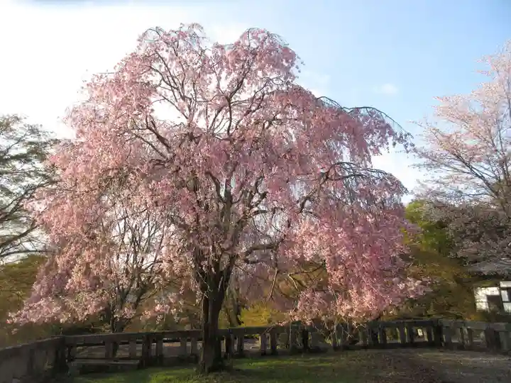 吉野神宮の自然