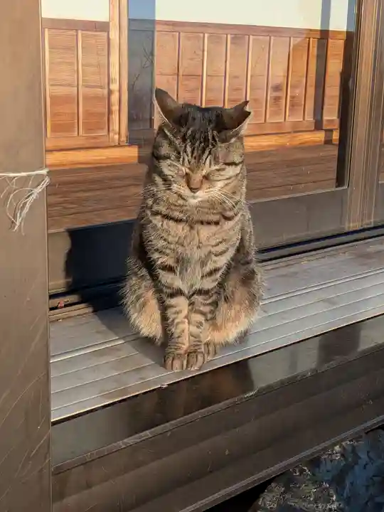 唐澤山神社(栃木県)