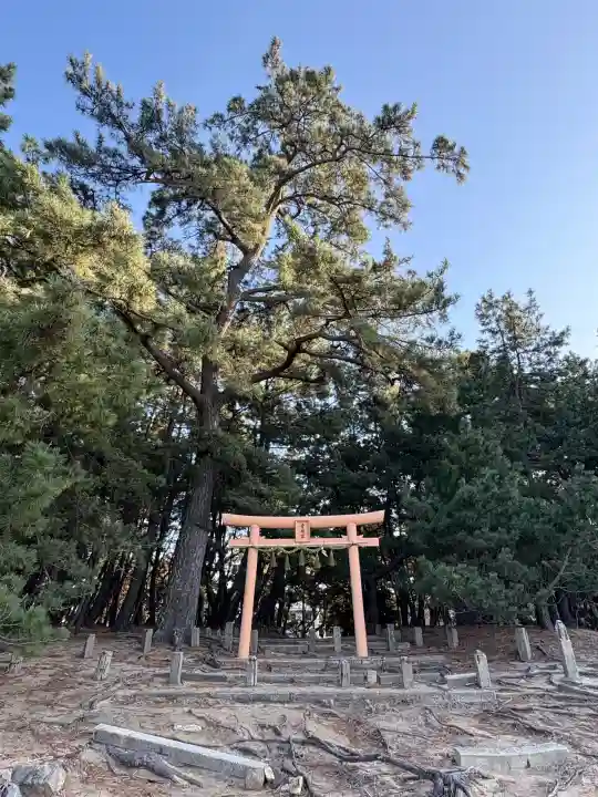 壱岐神社の{uncategorized: "未分類", other: "その他", undefined: "問題あり", building: "その他建物", grave: "お墓", sacred_gate: "鳥居", guardian: "狛犬", statue: "像", buddha: "仏像", history: "歴史", nature: "自然", garden: "庭園", animal: "動物", pagoda: "塔", temizu: "手水舎", mountain_gate: "山門・神門", sanctuary: "本殿・本堂", subordinate: "末社・摂社", art: "芸術", scenery: "景色", jizo: "地蔵", ema: "絵馬", goshuin: "御朱印", omikuji: "おみくじ", items: "授与品その他", amulet: "お守り", goshuincho: "御朱印帳", eats: "食事", festival: "お祭り", votive_dance: "神楽", shichigosan: "七五三参", wedding: "結婚式", experience: "体験その他", initially: "初詣", around: "周辺", anti_infection: "感染症対策"}