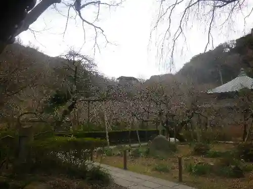 瑞泉寺の庭園