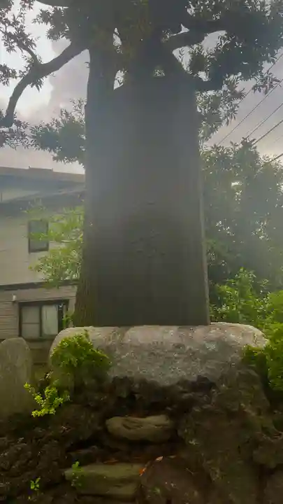 下石神井天祖神社(東京都)