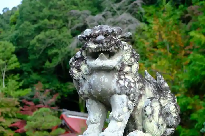 出雲大神宮の狛犬