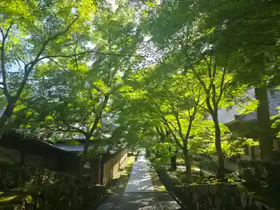 永源寺(滋賀県)