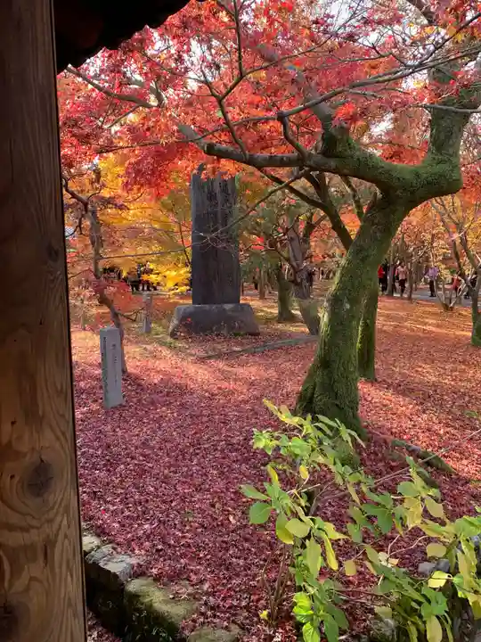 東福禅寺(東福寺)の自然
