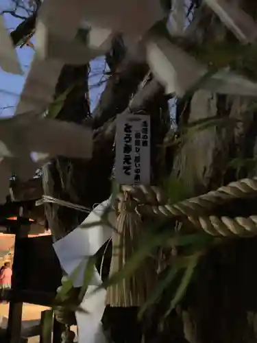 住吉神社(兵庫県)