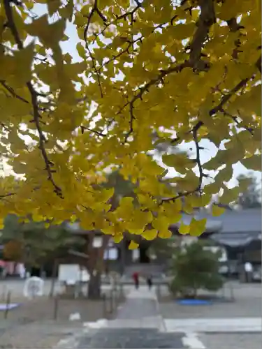 誕生寺(岡山県)