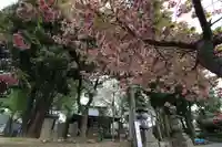 熊野福藏神社の景色