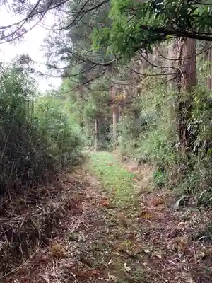 青龍大権現(千葉県)