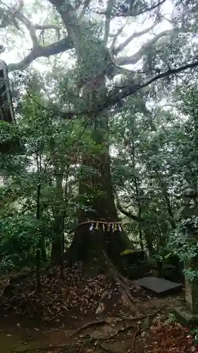 日吉神社の建物その他