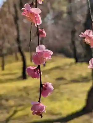 城南宮(京都府)