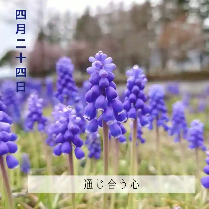 壽徳寺 じゅとくじ(福島県)