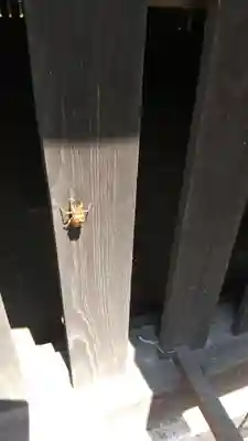 酒門神社(茨城県)