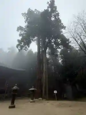 延暦寺釈迦堂(滋賀県)