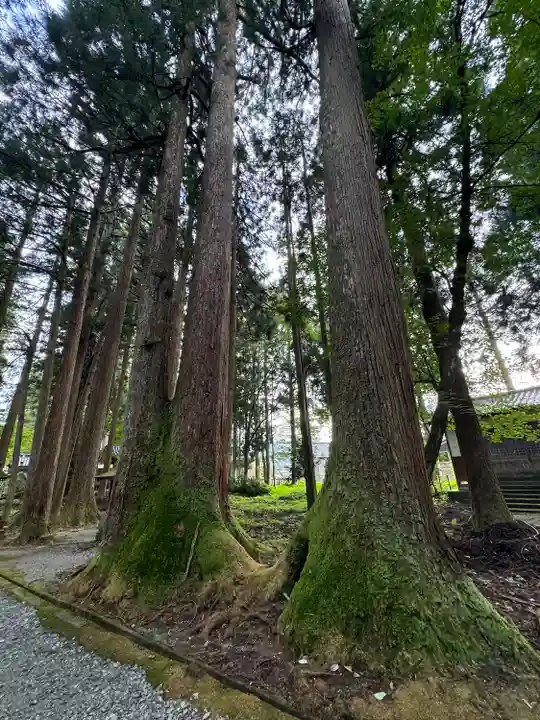 雄山神社中宮祈願殿(富山県)
