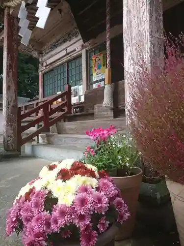 千代ケ岡八幡宮の自然