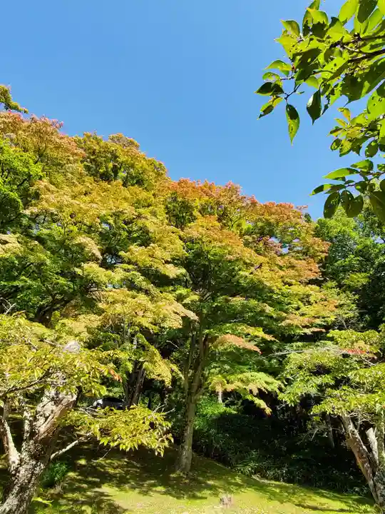 土津神社|こどもと出世の神さまの景色