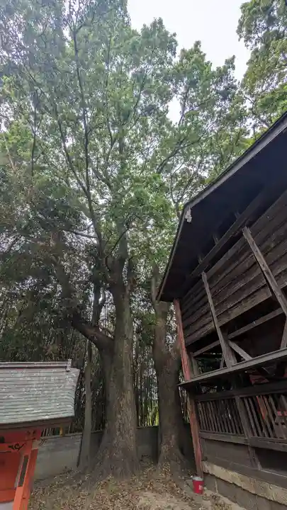 御園神社(京都府)