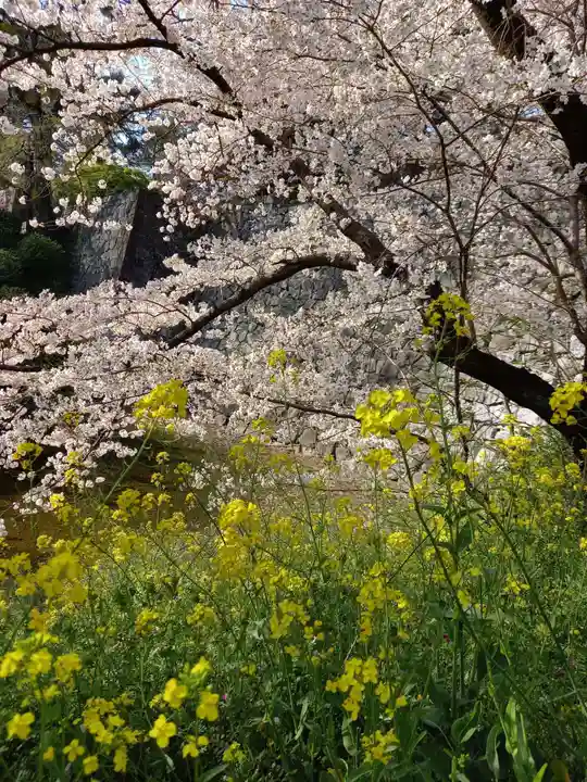 篠山神社の自然