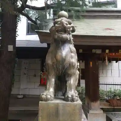 青山熊野神社の狛犬