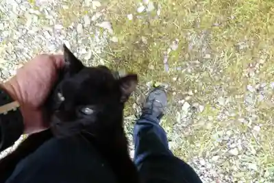 早池峰神社(岩手県)