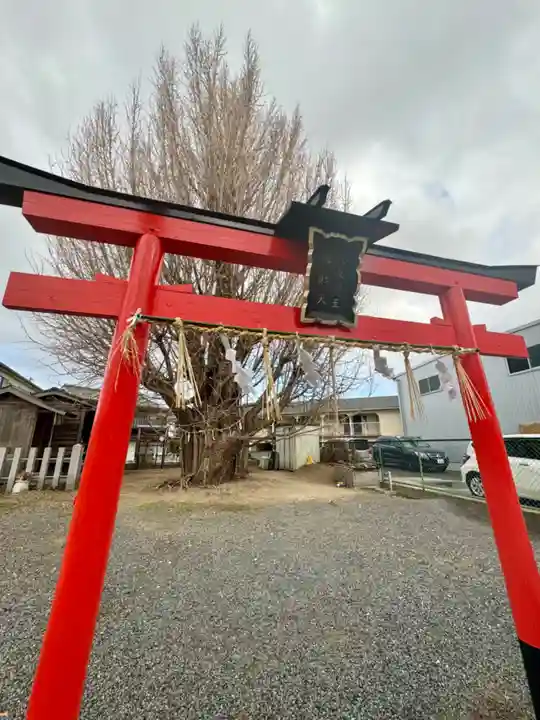 八大龍王辨財天(京都府)