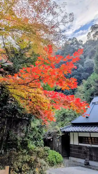 勝尾寺(大阪府)