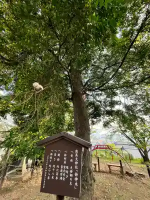 應其太神社の{uncategorized: "未分類", other: "その他", undefined: "問題あり", building: "その他建物", grave: "お墓", sacred_gate: "鳥居", guardian: "狛犬", statue: "像", buddha: "仏像", history: "歴史", nature: "自然", garden: "庭園", animal: "動物", pagoda: "塔", temizu: "手水舎", mountain_gate: "山門・神門", sanctuary: "本殿・本堂", subordinate: "末社・摂社", art: "芸術", scenery: "景色", jizo: "地蔵", ema: "絵馬", goshuin: "御朱印", omikuji: "おみくじ", items: "授与品その他", amulet: "お守り", goshuincho: "御朱印帳", eats: "食事", festival: "お祭り", votive_dance: "神楽", shichigosan: "七五三参", wedding: "結婚式", experience: "体験その他", initially: "初詣", around: "周辺", anti_infection: "感染症対策"}