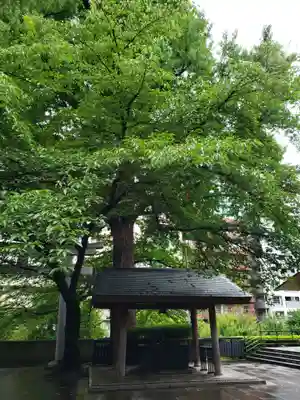 熊野神社の手水舎