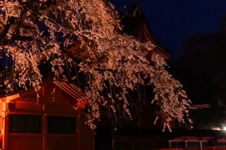 富士山本宮浅間大社(静岡県)