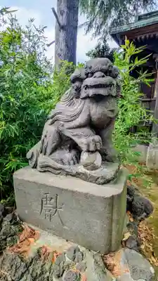 柴又八幡神社の狛犬