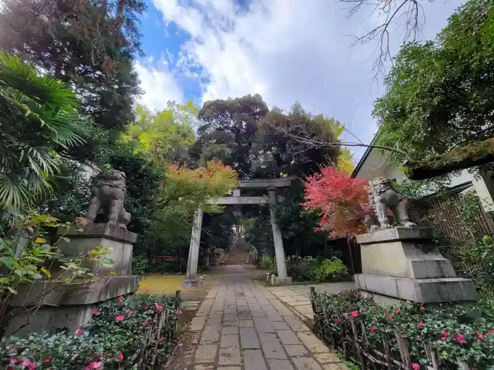赤坂氷川神社の鳥居