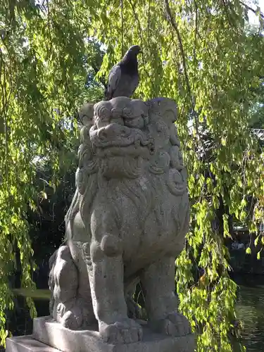 三嶋大社の狛犬