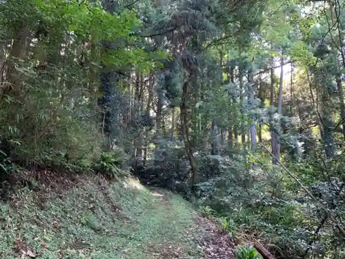 白山神社の自然