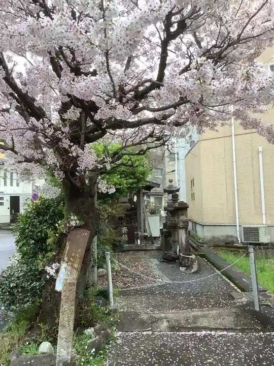 多賀神社(多賀町)の自然