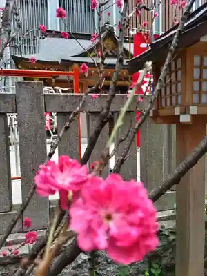 福徳神社（芽吹稲荷）(東京都)