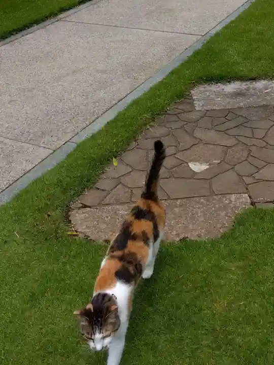 潮音寺(神奈川県)