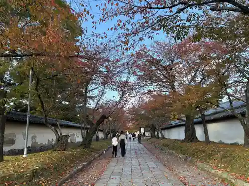 醍醐寺(京都府)
