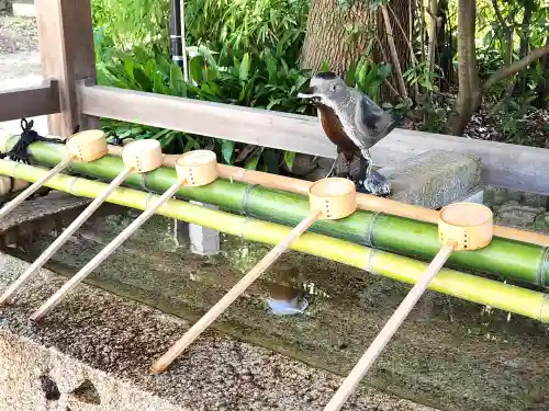 弓弦羽神社(兵庫県)