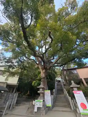 垂水神社の{uncategorized: "未分類", other: "その他", undefined: "問題あり", building: "その他建物", grave: "お墓", sacred_gate: "鳥居", guardian: "狛犬", statue: "像", buddha: "仏像", history: "歴史", nature: "自然", garden: "庭園", animal: "動物", pagoda: "塔", temizu: "手水舎", mountain_gate: "山門・神門", sanctuary: "本殿・本堂", subordinate: "末社・摂社", art: "芸術", scenery: "景色", jizo: "地蔵", ema: "絵馬", goshuin: "御朱印", omikuji: "おみくじ", items: "授与品その他", amulet: "お守り", goshuincho: "御朱印帳", eats: "食事", festival: "お祭り", votive_dance: "神楽", shichigosan: "七五三参", wedding: "結婚式", experience: "体験その他", initially: "初詣", around: "周辺", anti_infection: "感染症対策"}