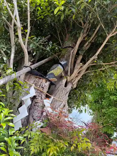 拝島神明神社(東京都)