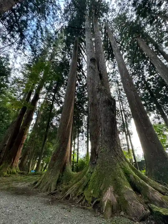 雄山神社中宮祈願殿(富山県)