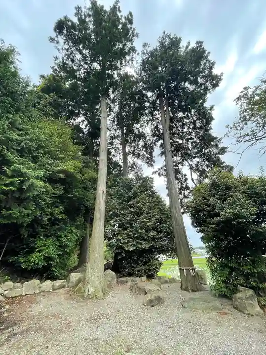 諸木神社(滋賀県)