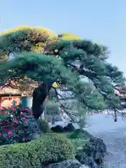 白鷺神社(栃木県)