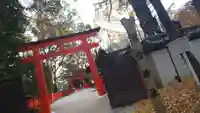 河合神社(鴨川合坐小社宅神社)の鳥居