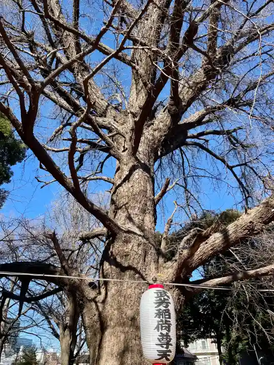 武芳稲荷神社の{uncategorized: "未分類", other: "その他", undefined: "問題あり", building: "その他建物", grave: "お墓", sacred_gate: "鳥居", guardian: "狛犬", statue: "像", buddha: "仏像", history: "歴史", nature: "自然", garden: "庭園", animal: "動物", pagoda: "塔", temizu: "手水舎", mountain_gate: "山門・神門", sanctuary: "本殿・本堂", subordinate: "末社・摂社", art: "芸術", scenery: "景色", jizo: "地蔵", ema: "絵馬", goshuin: "御朱印", omikuji: "おみくじ", items: "授与品その他", amulet: "お守り", goshuincho: "御朱印帳", eats: "食事", festival: "お祭り", votive_dance: "神楽", shichigosan: "七五三参", wedding: "結婚式", experience: "体験その他", initially: "初詣", around: "周辺", anti_infection: "感染症対策"}