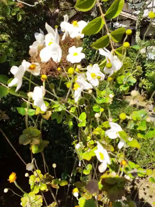 円通院(宮城県)