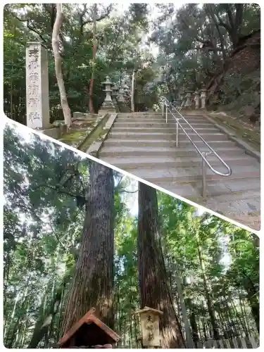 等彌神社の{uncategorized: "未分類", other: "その他", undefined: "問題あり", building: "その他建物", grave: "お墓", sacred_gate: "鳥居", guardian: "狛犬", statue: "像", buddha: "仏像", history: "歴史", nature: "自然", garden: "庭園", animal: "動物", pagoda: "塔", temizu: "手水舎", mountain_gate: "山門・神門", sanctuary: "本殿・本堂", subordinate: "末社・摂社", art: "芸術", scenery: "景色", jizo: "地蔵", ema: "絵馬", goshuin: "御朱印", omikuji: "おみくじ", items: "授与品その他", amulet: "お守り", goshuincho: "御朱印帳", eats: "食事", festival: "お祭り", votive_dance: "神楽", shichigosan: "七五三参", wedding: "結婚式", experience: "体験その他", initially: "初詣", around: "周辺", anti_infection: "感染症対策"}
