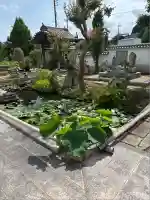 歓喜院(兵庫県)