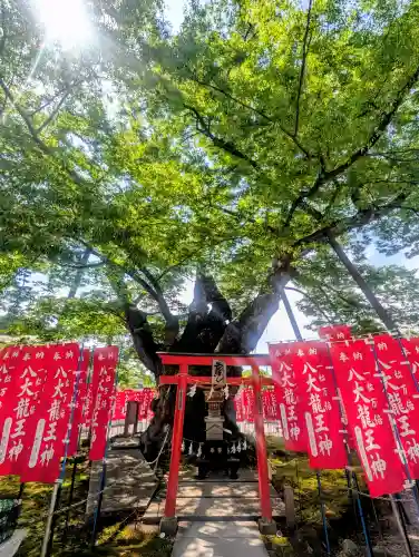 秩父今宮神社の{uncategorized: "未分類", other: "その他", undefined: "問題あり", building: "その他建物", grave: "お墓", sacred_gate: "鳥居", guardian: "狛犬", statue: "像", buddha: "仏像", history: "歴史", nature: "自然", garden: "庭園", animal: "動物", pagoda: "塔", temizu: "手水舎", mountain_gate: "山門・神門", sanctuary: "本殿・本堂", subordinate: "末社・摂社", art: "芸術", scenery: "景色", jizo: "地蔵", ema: "絵馬", goshuin: "御朱印", omikuji: "おみくじ", items: "授与品その他", amulet: "お守り", goshuincho: "御朱印帳", eats: "食事", festival: "お祭り", votive_dance: "神楽", shichigosan: "七五三参", wedding: "結婚式", experience: "体験その他", initially: "初詣", around: "周辺", anti_infection: "感染症対策"}